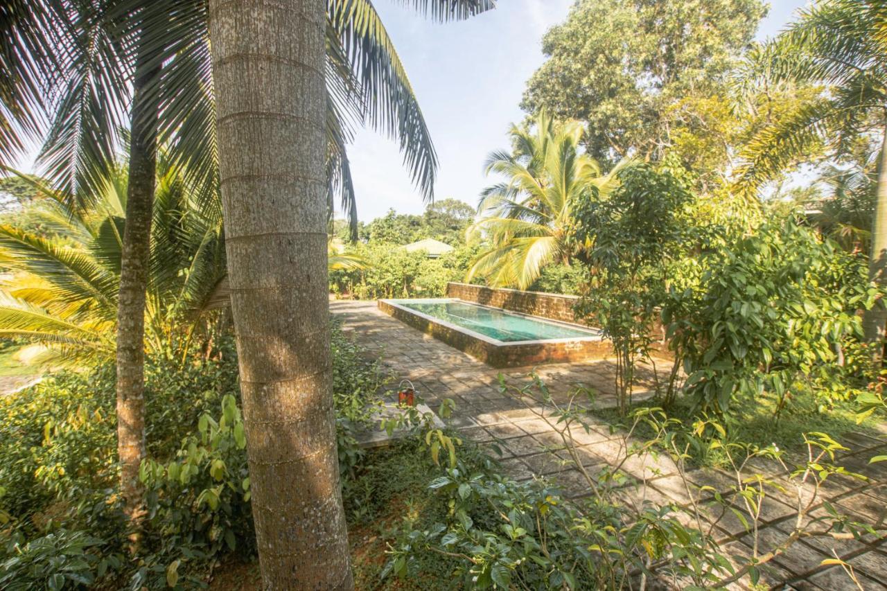 The Coastal Village Cabanas Ahangama Ngoại thất bức ảnh